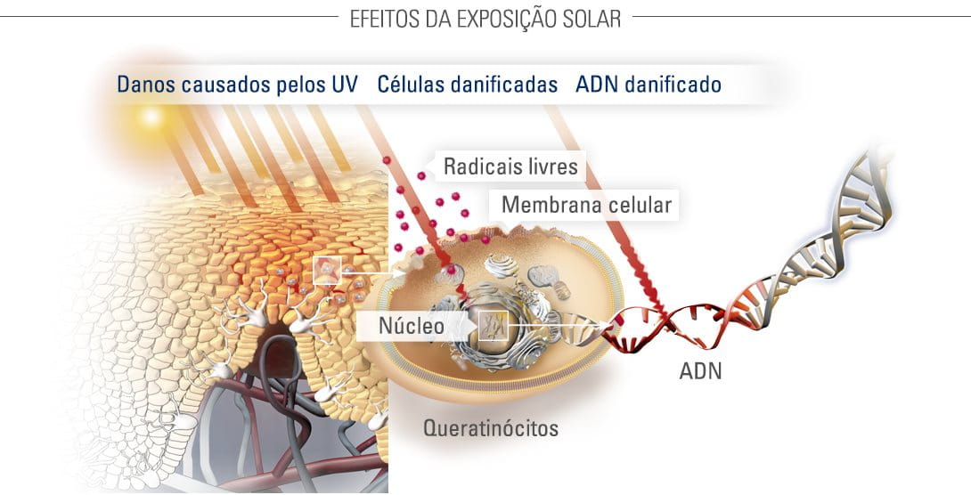 penetração de raios UV na pele